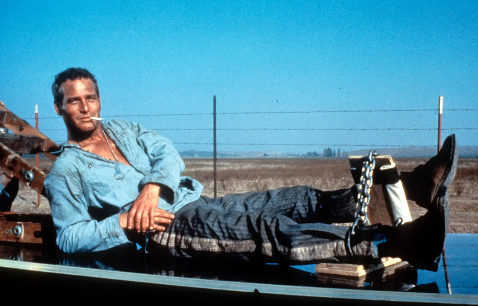 Paul Newman